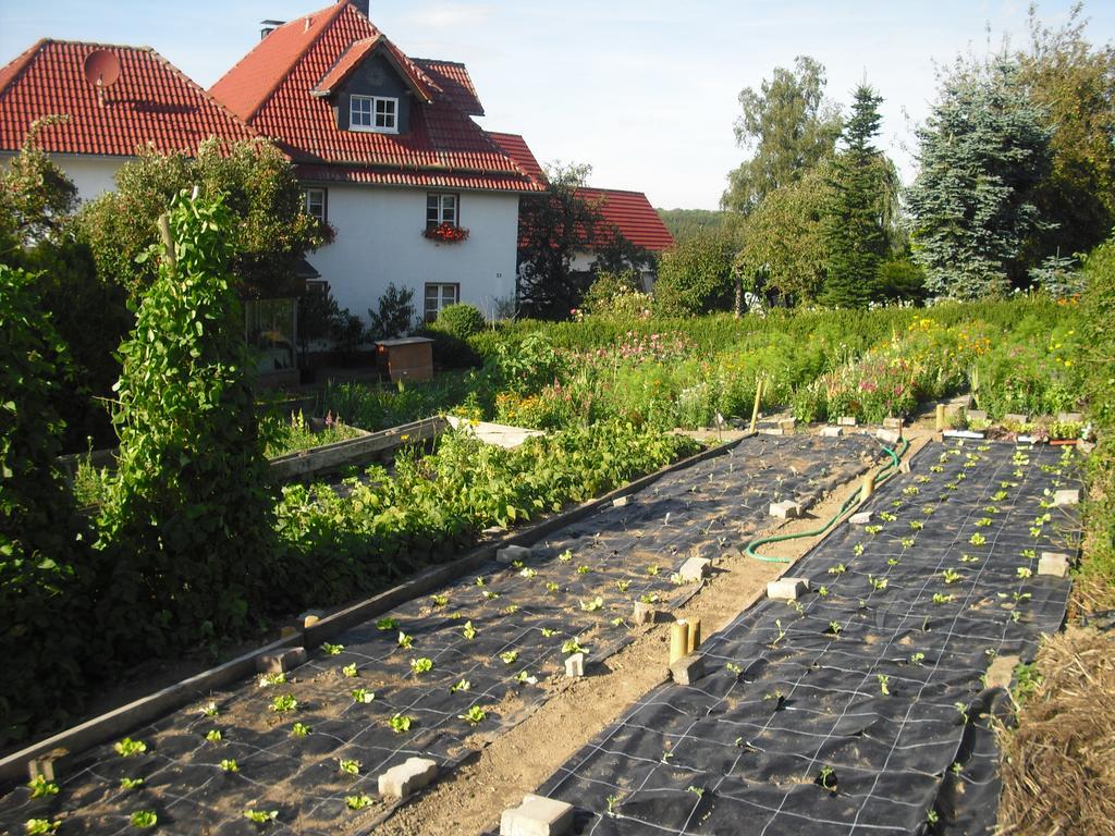 Willekes Bluetenhof Madfeld 외부 사진